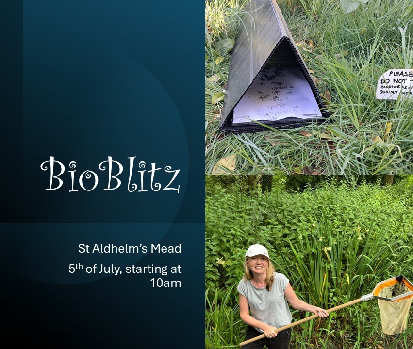 Bio Blitz