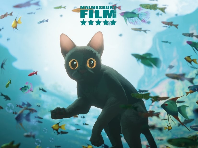 Malmesbury Film Society - Flow