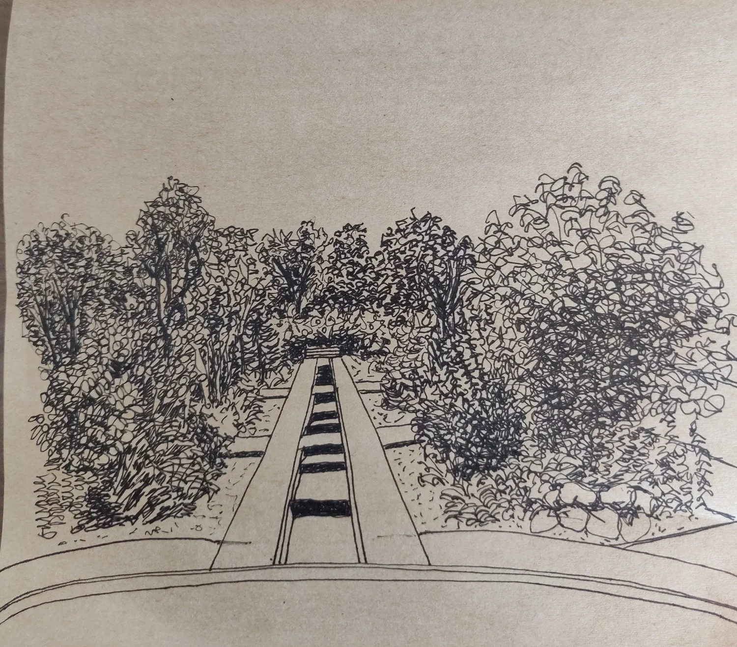 Sketch And Walk