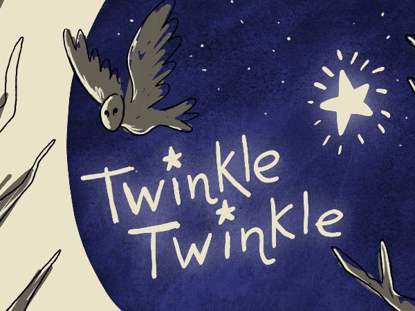 Twinkle Twinkle – a nocturnal journey for early years by The Last Baguette