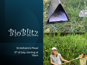 Bio Blitz
