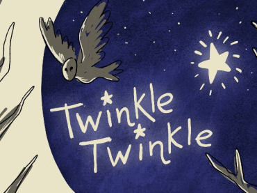 Twinkle Twinkle – a nocturnal journey for early years by The Last Baguette